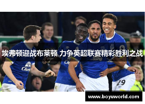 埃弗顿迎战布莱顿 力争英超联赛精彩胜利之战