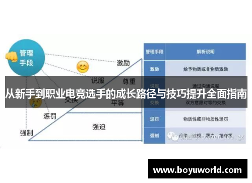 从新手到职业电竞选手的成长路径与技巧提升全面指南