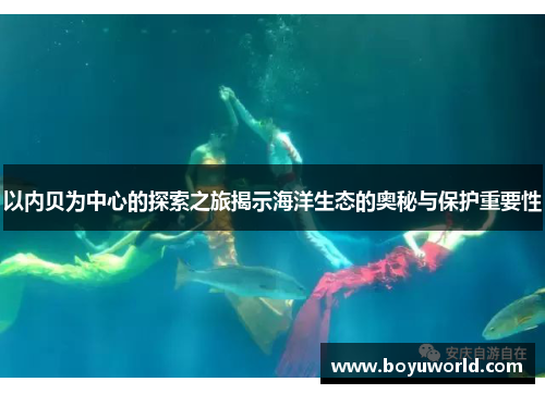 以内贝为中心的探索之旅揭示海洋生态的奥秘与保护重要性