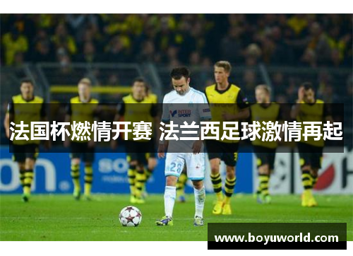 法国杯燃情开赛 法兰西足球激情再起